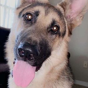 Meet your Posher, Corey